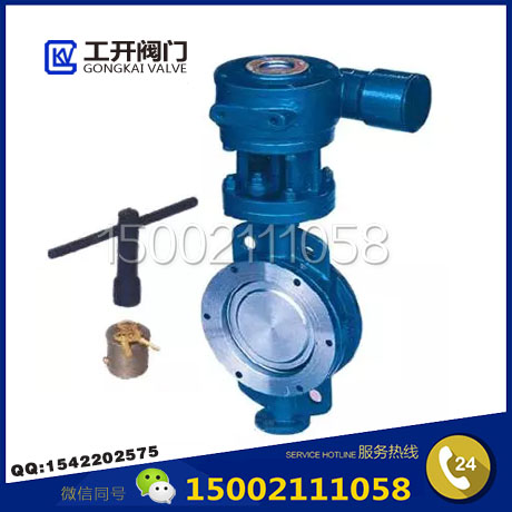 防盜蝶閥-FDD373H-帶鎖蝶閥-防盜對(duì)夾蝶閥